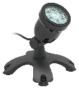 akoibassin.webp