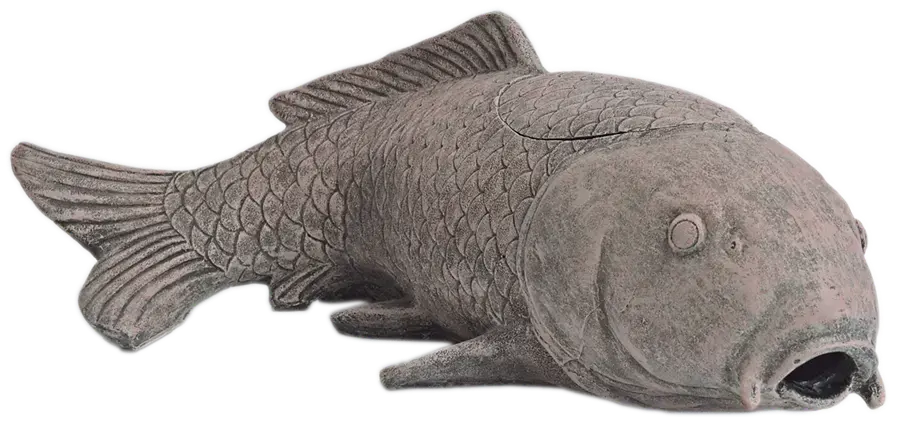akoibassin.webp
