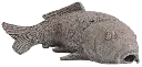 akoibassin.webp