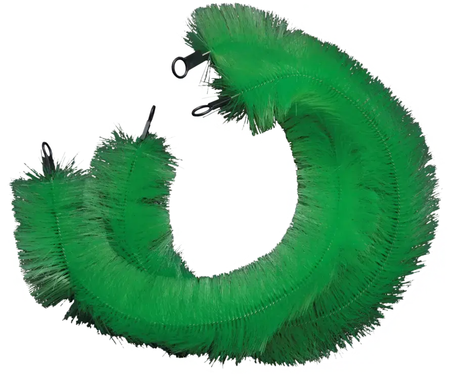 akoibassin.webp