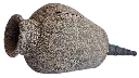 akoibassin.webp