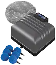 akoibassin.webp