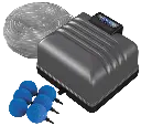 akoibassin.webp