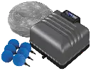 akoibassin.webp