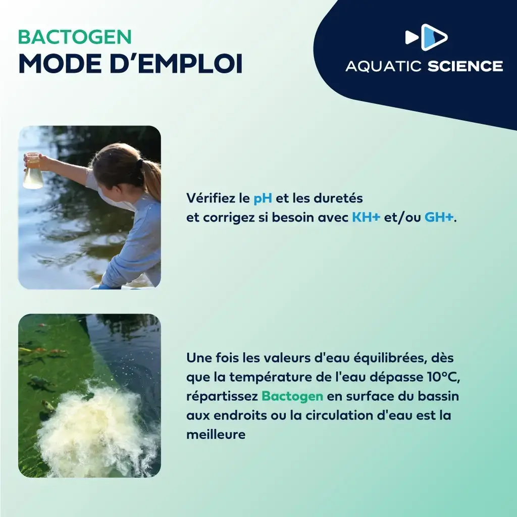 akoibassin.webp