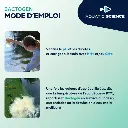 akoibassin.webp