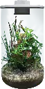 akoibassin.webp