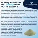 akoibassin.webp