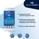 akoibassin.webp