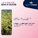 akoibassin.webp