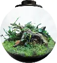 akoibassin.webp