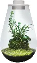 akoibassin.webp