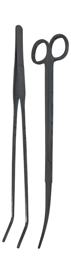 akoibassin.webp