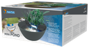 akoibassin.webp