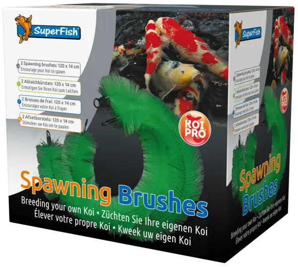 [233] BROSSE DE FRAI 