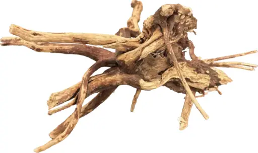 [303] WOOD SPIDER BIOART