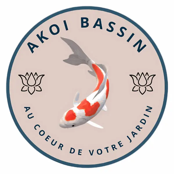Akoibassin18