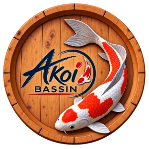 Akoibassin18